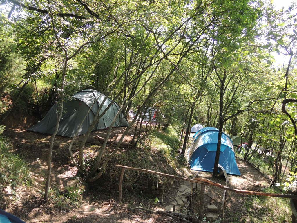 Adrenaline Check Kaki Event Place 포르토로즈 객실 사진