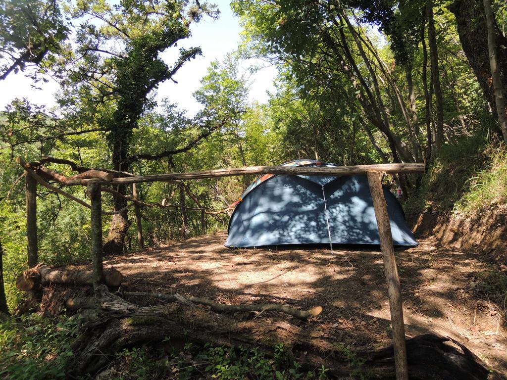 Adrenaline Check Kaki Event Place 포르토로즈 객실 사진